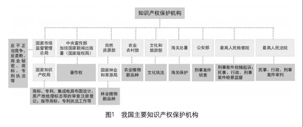 知识产权保护机构.jpg